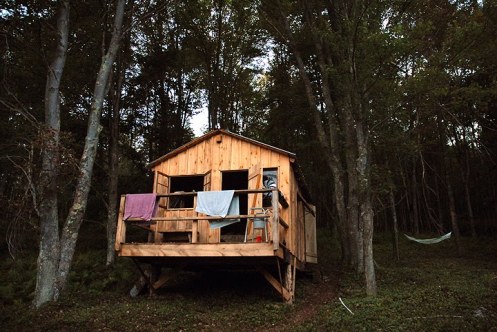 6 cabin hammock web